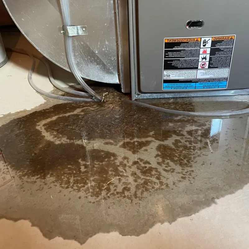 Pipe Burst and Leak Restoration in LaGrange County, IN