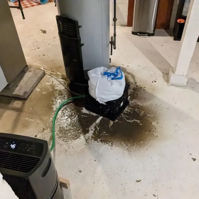 Sewage Backup Cleanup Service in LaGrange County, IN